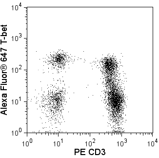 4B10_CD3_T-bet_A647_New.png